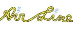 Airline Brand