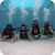 Try Scuba Diving in Jacksonville 