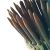 Koah Side Sling Shaft 9/32 