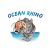 Ocean Rhino Hyperlink Speed Load Kit 
