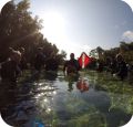 Open Water SCUBA Certification in Marietta and Springs 