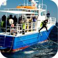 Panama City Beach Spearfishing Class 