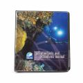 SDI Standards & Procedures - Complete 