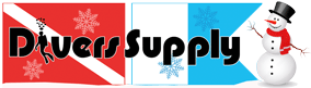 Ds Logo