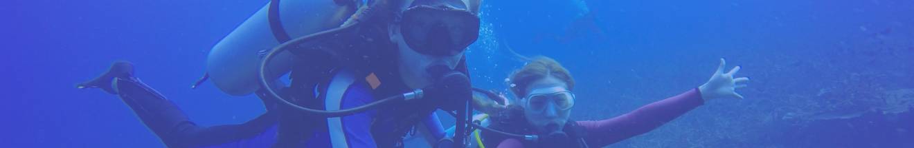 Learn To Scuba Dive From Experts
