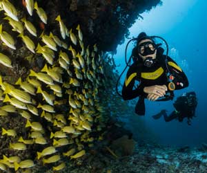Scuba Diving Equipment