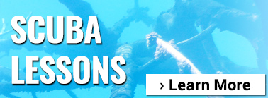 Learn To Scuba Dive