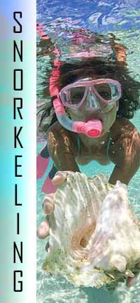 Snorkeling Gear