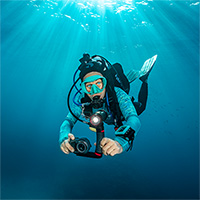 Link to Photography