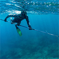 Link to Spearfishing 